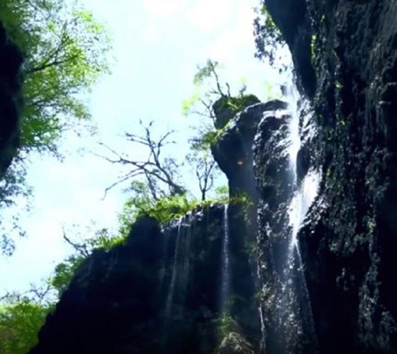 青山綠水，白龍江畔江畔息白鷺，兩岸綠橄欖入眼的都是純樸自然枝上花開(kāi)，春來(lái)水暖魚(yú)蝦戲水，鳥(niǎo)語(yǔ)花香心中充滿(mǎn)著舒暢之感祥宇生態(tài)產(chǎn)業(yè)園，位于隴南市武..